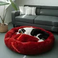 Orthoeasee® - Das beste Anti-Angst Hundebett